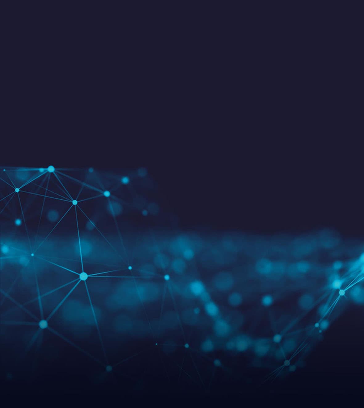 Image of Rapid SEO Host Image of Rapid SEO Host